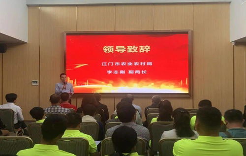 江門農(nóng)技驛站玩出新花樣 兩大“農(nóng)業(yè)網(wǎng)紅”打卡地，技術(shù)推廣服務(wù)再升級(jí)