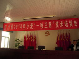 技術(shù)推廣服務(wù)中心的職能與發(fā)展路徑分析
